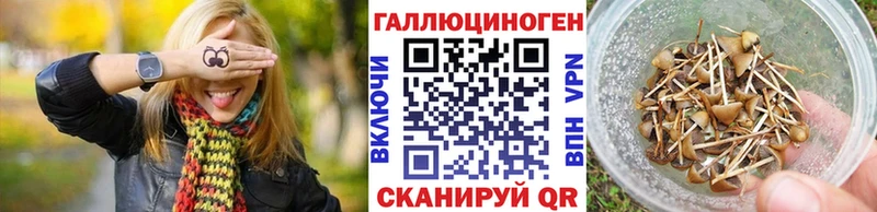 наркошоп  Стародуб  сайты даркнета официальный сайт  Галлюциногенные грибы мухоморы 