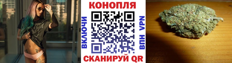 где найти   Стародуб  Бошки марихуана тримм 